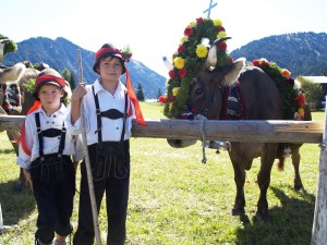 wunderschön gekränzte Kuh mit zwei Junghirten im Tannheimrtal