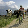 Biken in Tirol